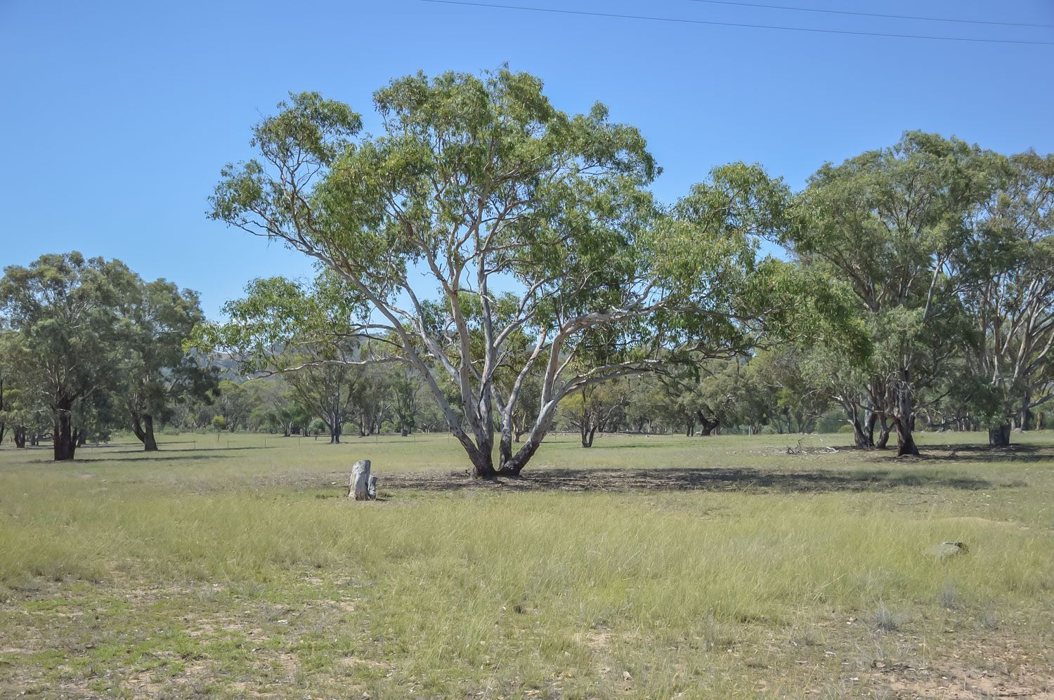 49 Campbells Creek Road, Mudgee NSW 2850, Image 2