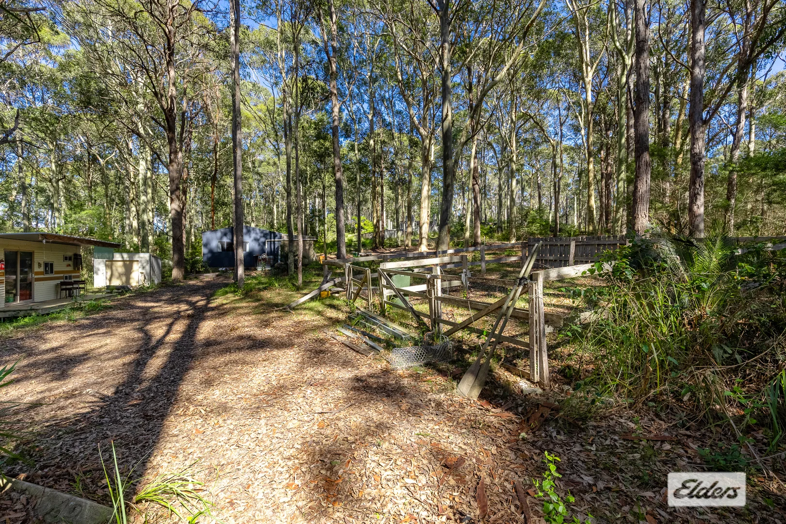 Image 13