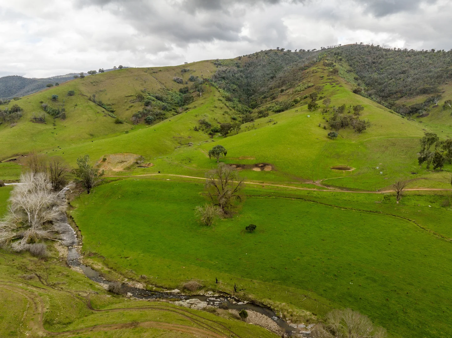 Image 14