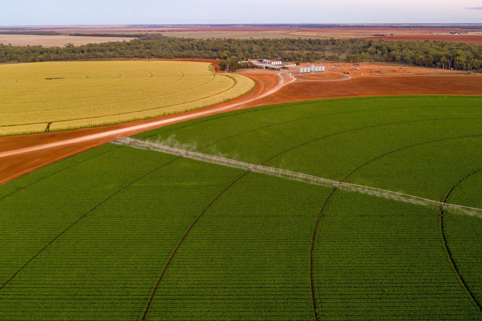 Lachlan River Road, Hillston NSW 2675, Image 0