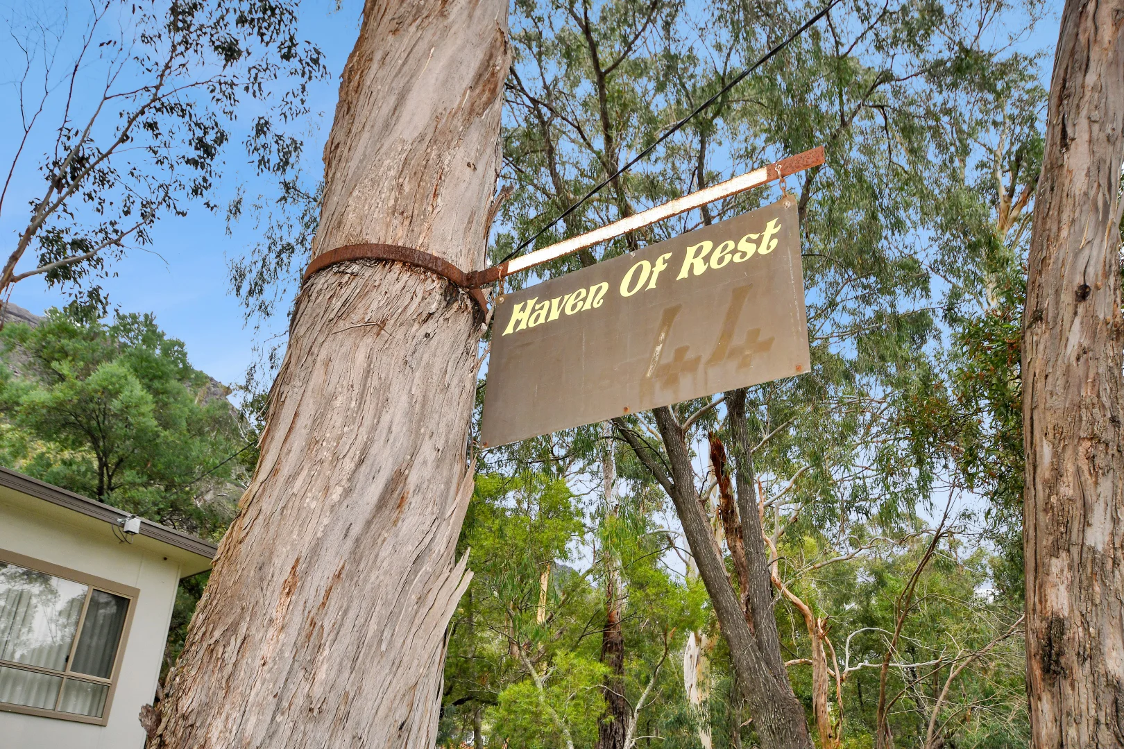 Image 15