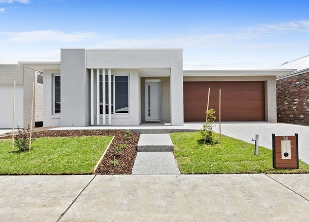 14 Scott Avenue, Torquay VIC 3228