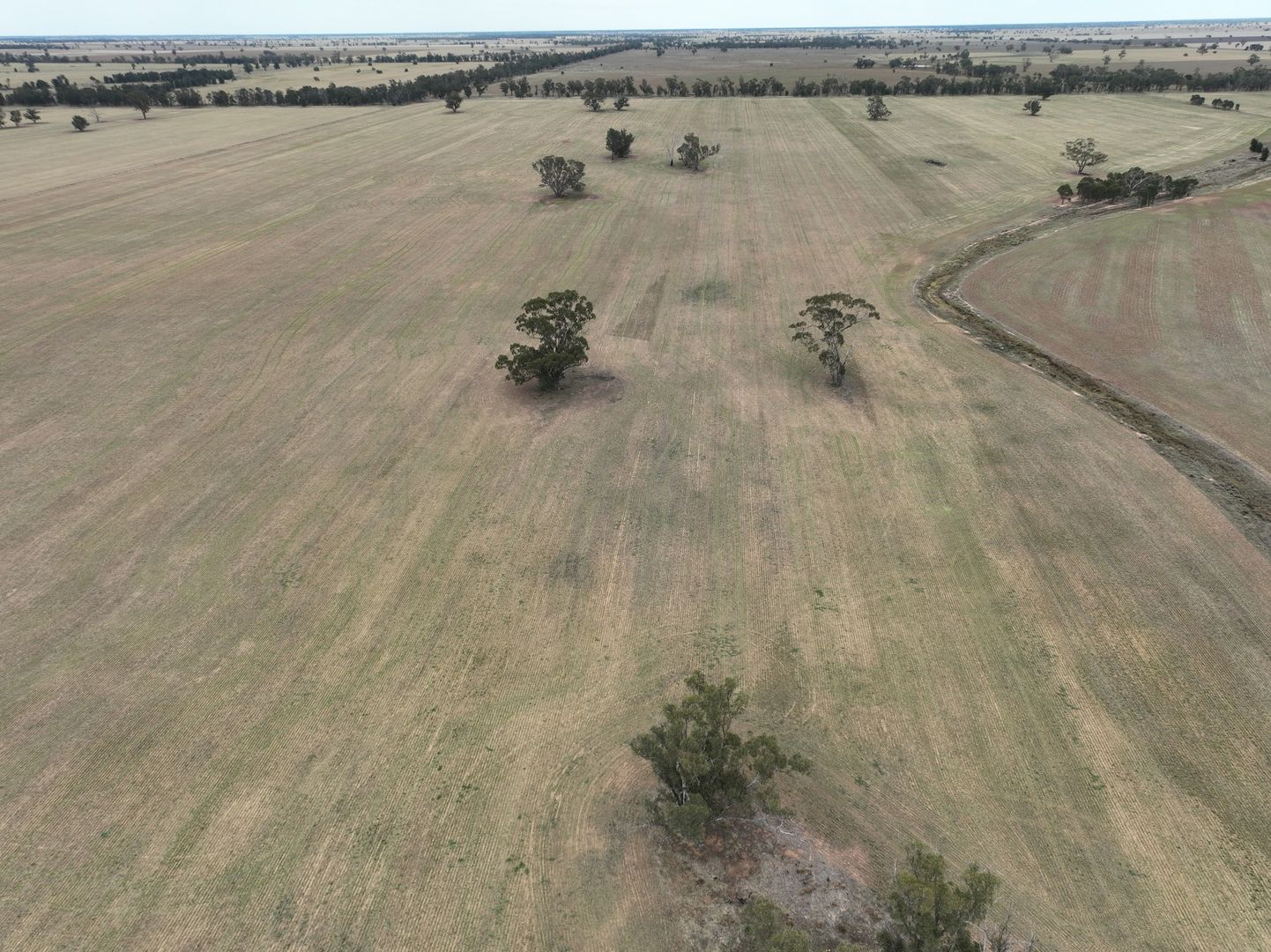 'Clairdon' 2395 Leeches Creek Road, Collie NSW 2827 Farm for Sale