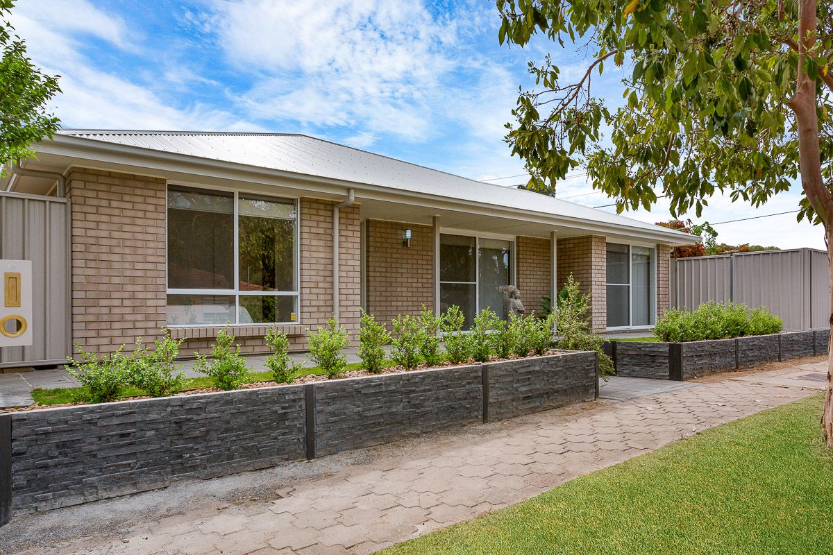 16 Lurline Ave, Gilles Plains SA 5086, Image 1