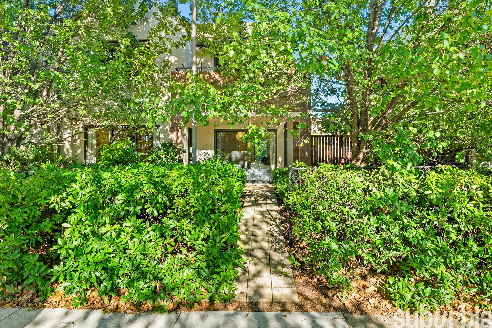 Additional image 3 of 41/193 Mouat Street, Lyneham ACT 2602