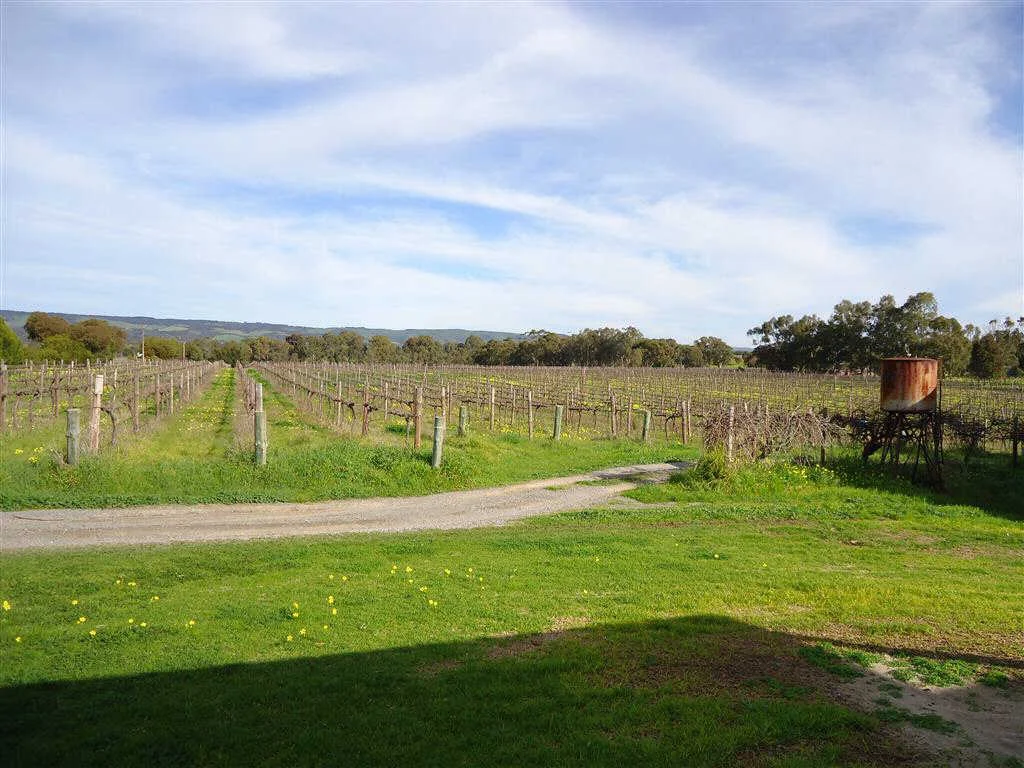 Additional image 9 of 91 Branson Road, McLaren Vale SA 5171