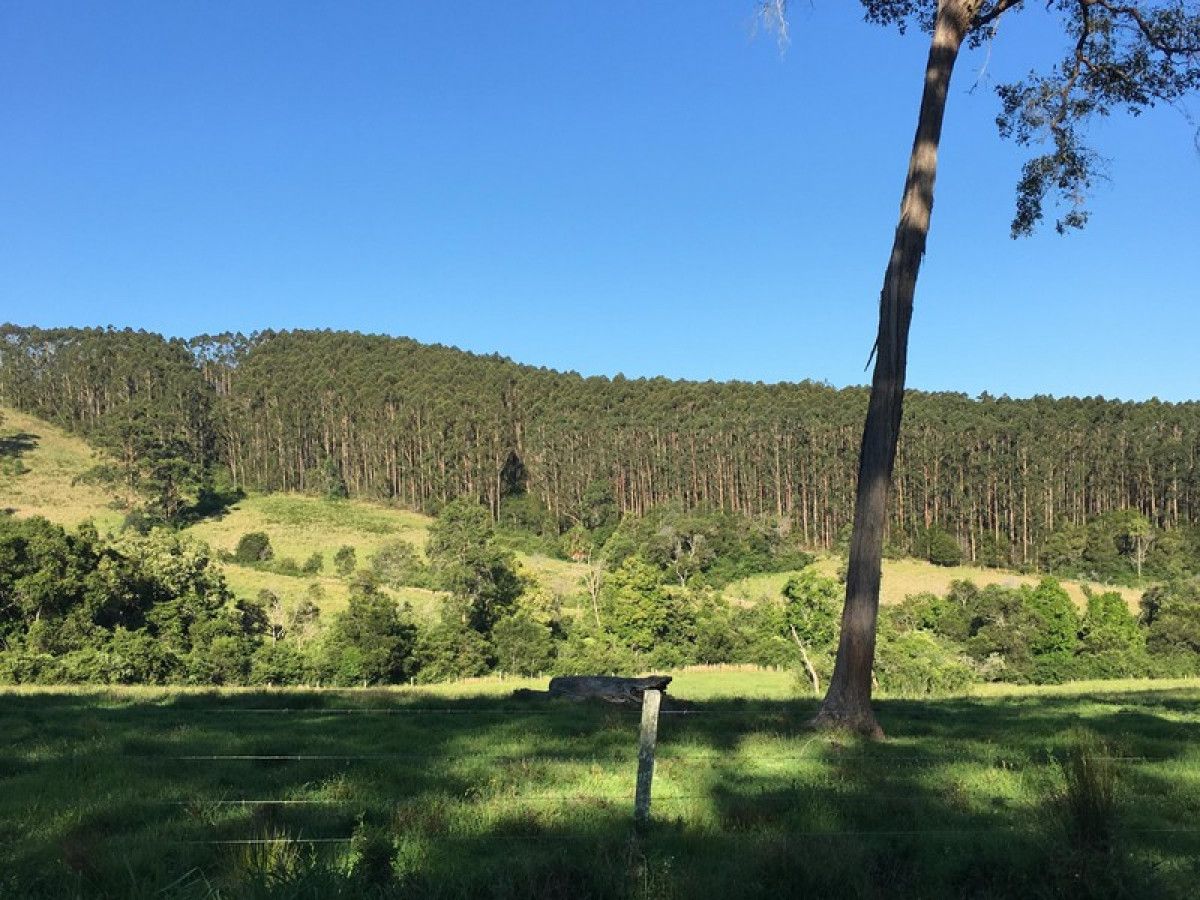 Lot 4 Elmar Road, Wootton NSW 2423, Image 1