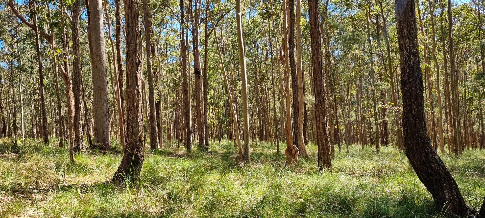 168 Bloomfield Road, Jilliby NSW 2259, Image 1