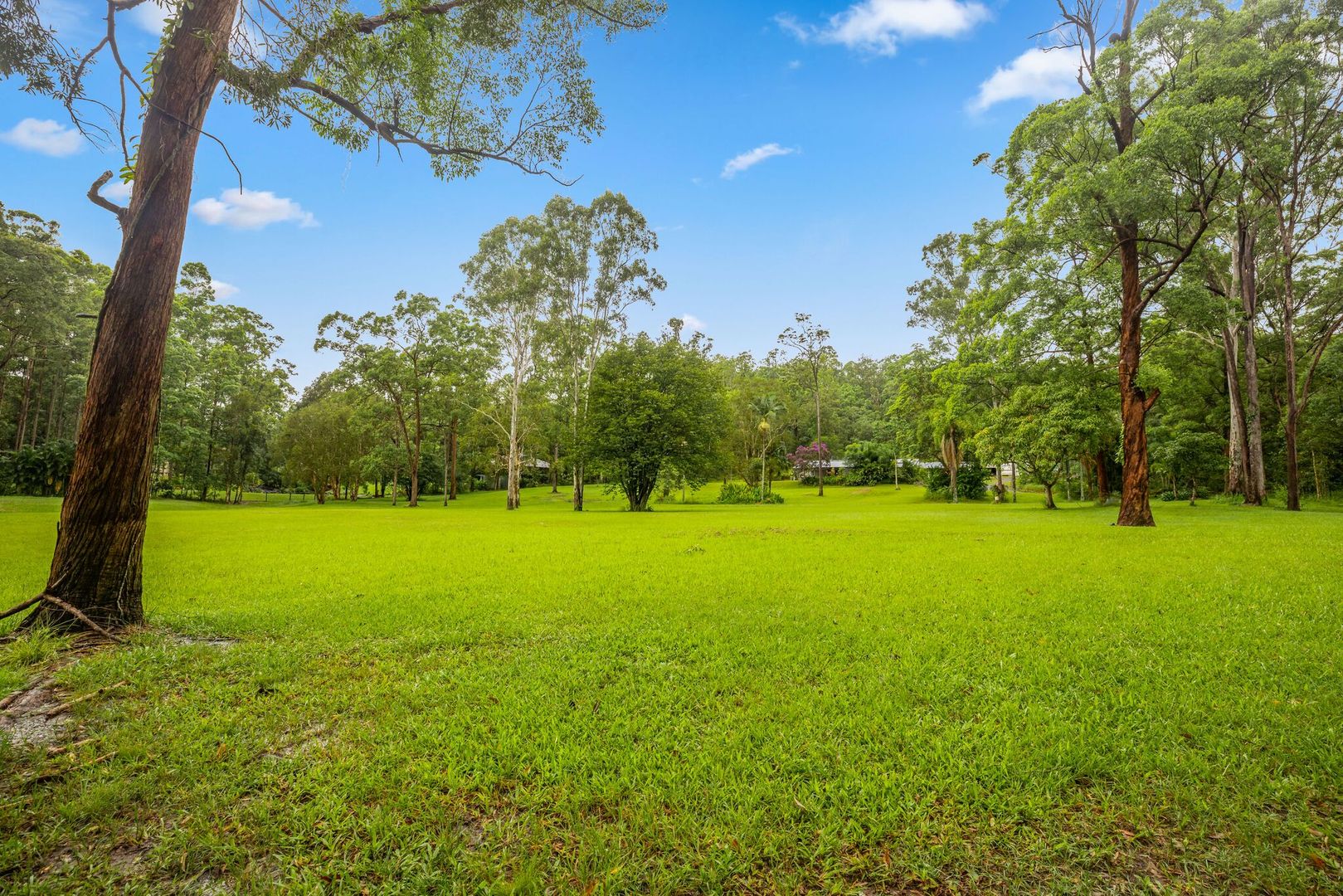 407 Connection Road, Mooloolah Valley QLD 4553, Image 1