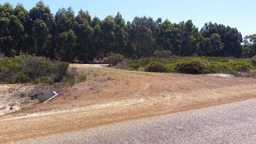 Image 6