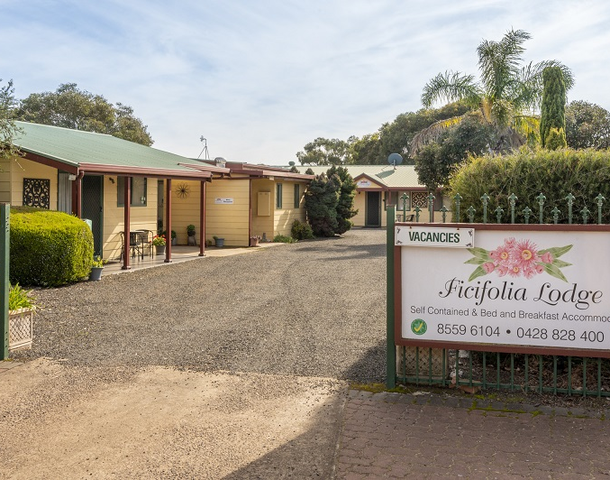 13 Cook Street, Parndana SA 5220