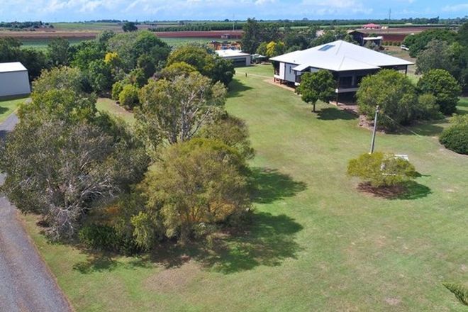 Picture of 183 St Johns Road, WOONGARRA QLD 4670