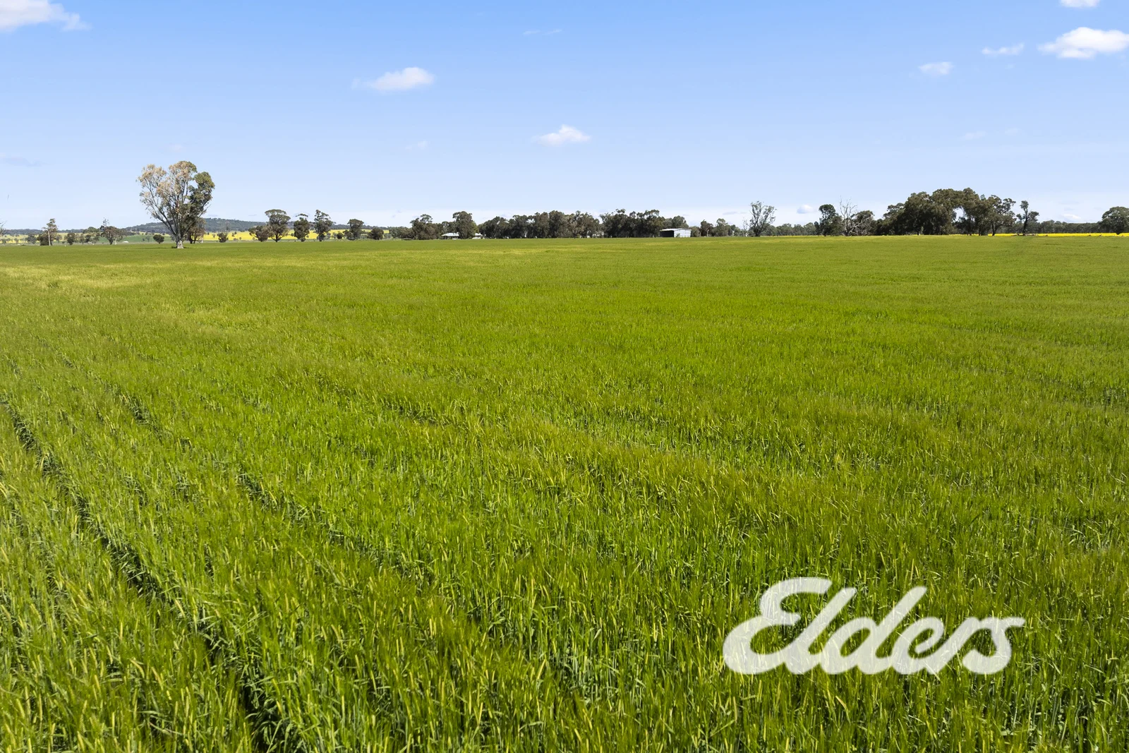 Additional image 36 of 235 Clearview Road, Savernake NSW 2646