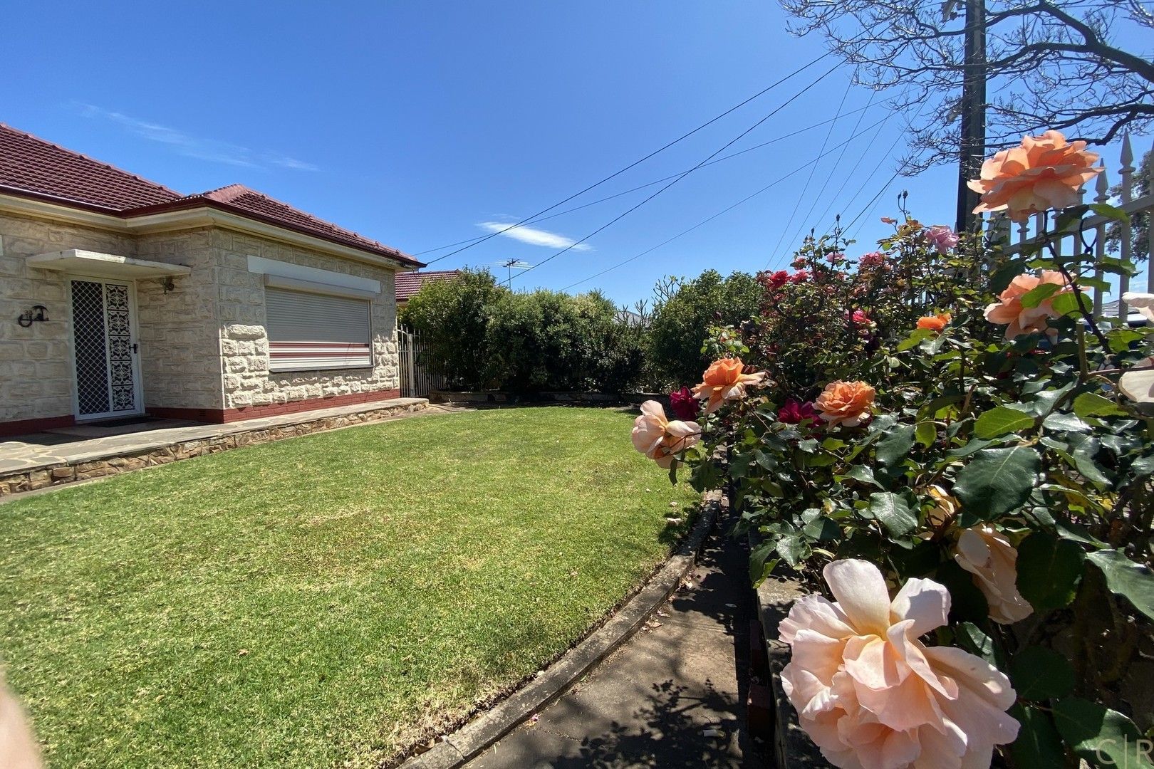 33 Danvers Grove, Woodville Gardens SA 5012, Image 0