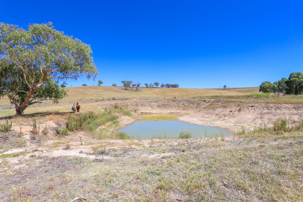 Lot 82 Samuel Way, The Lagoon NSW 2795, Image 1