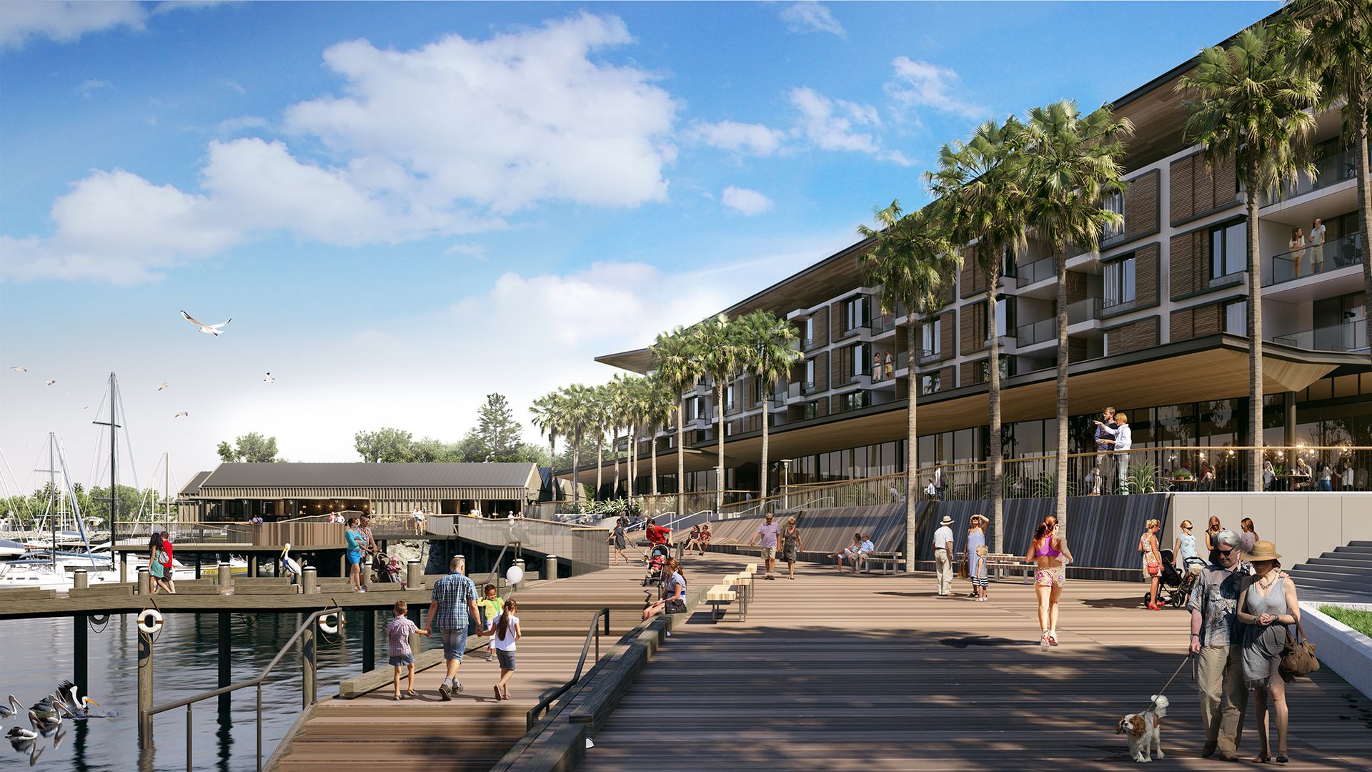 CN5311 Cormorant Way, Shell Cove NSW 2529 Domain