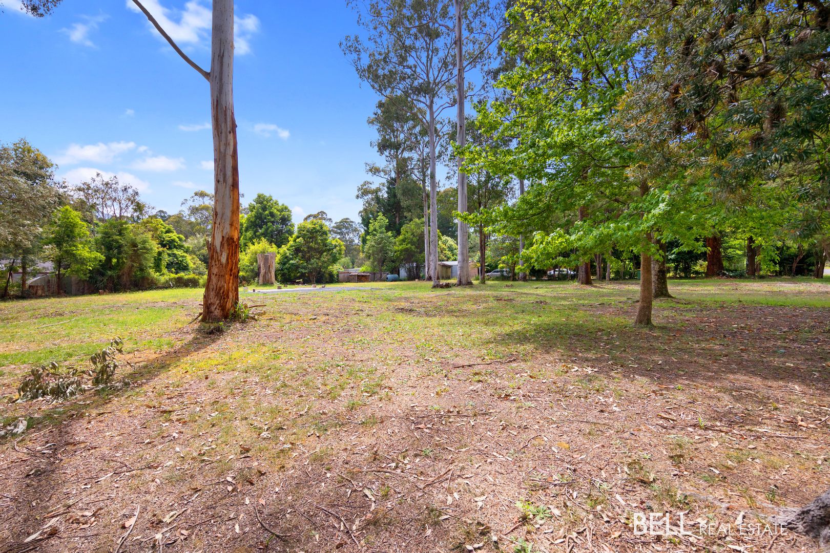 39 Whitegum Drive, East Warburton VIC 3799 Domain