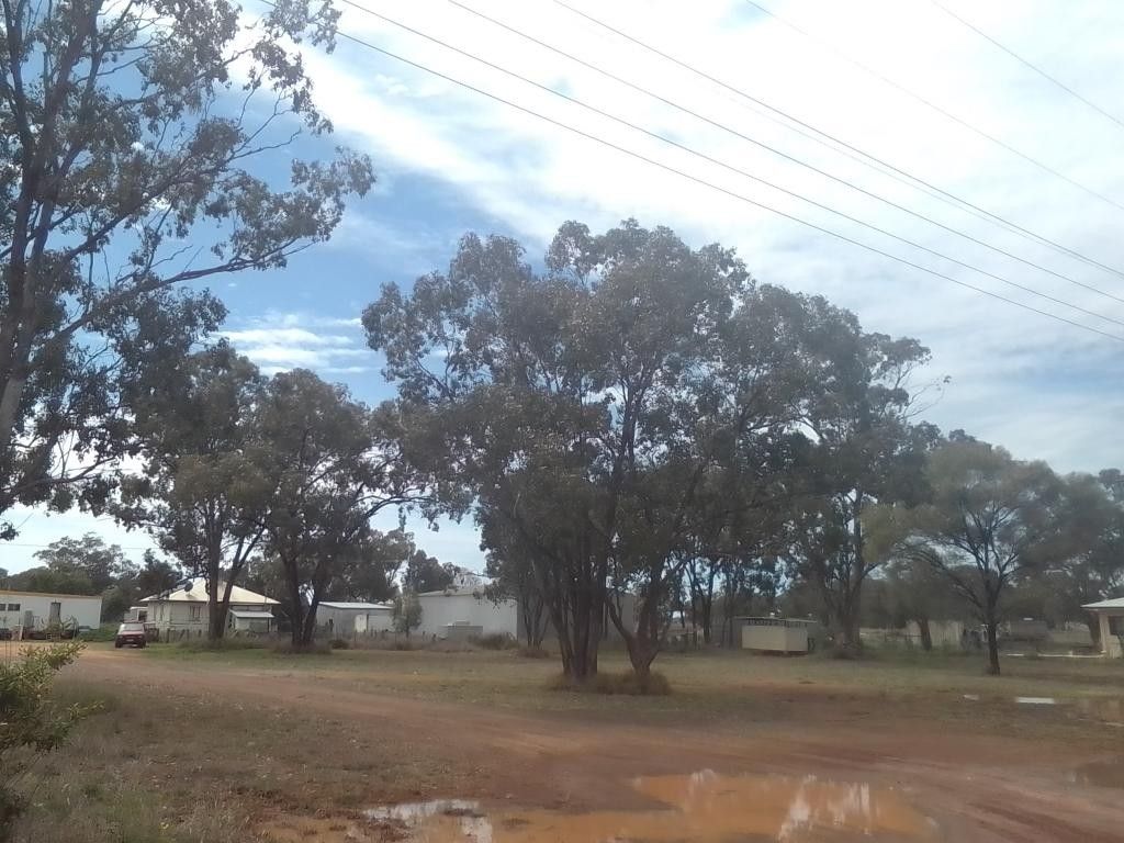16 Burke Street, Mungallala QLD 4467 Domain