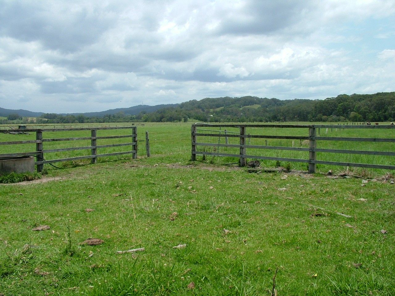 Lot 317 Reserve Creek Road, Reserve Creek NSW 2484, Image 0