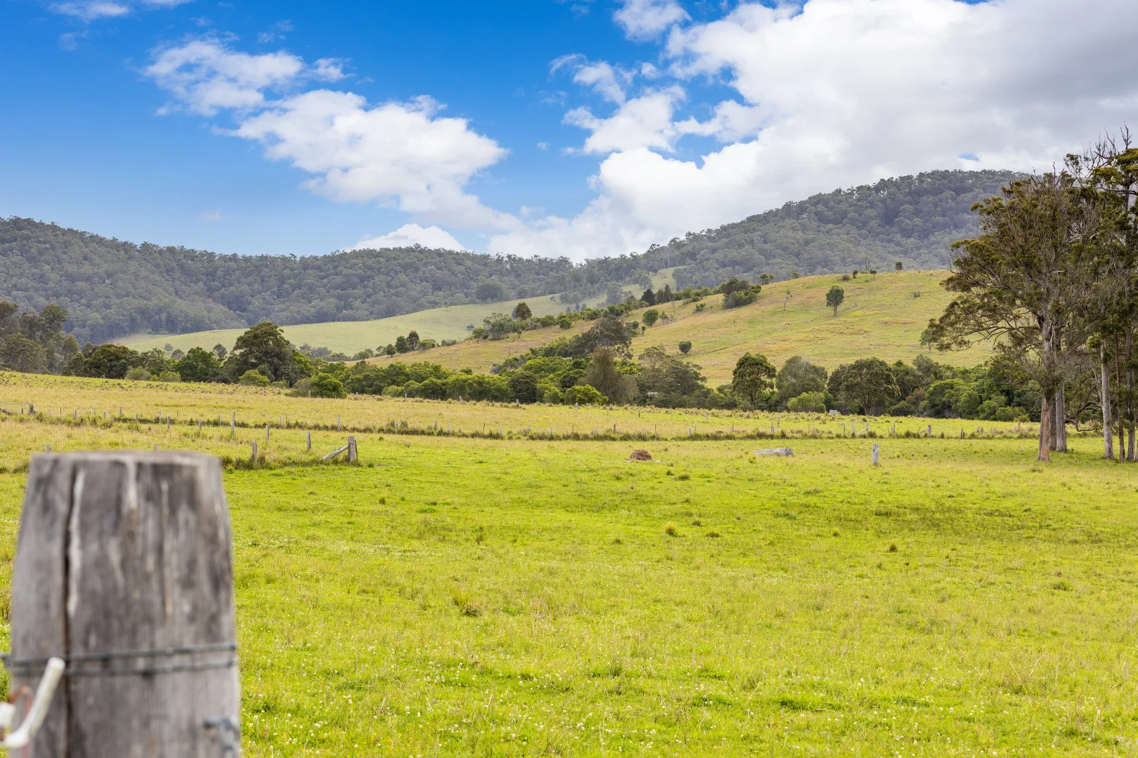 Additional image 6 of 87 Norries Road, Bunyah NSW 2429