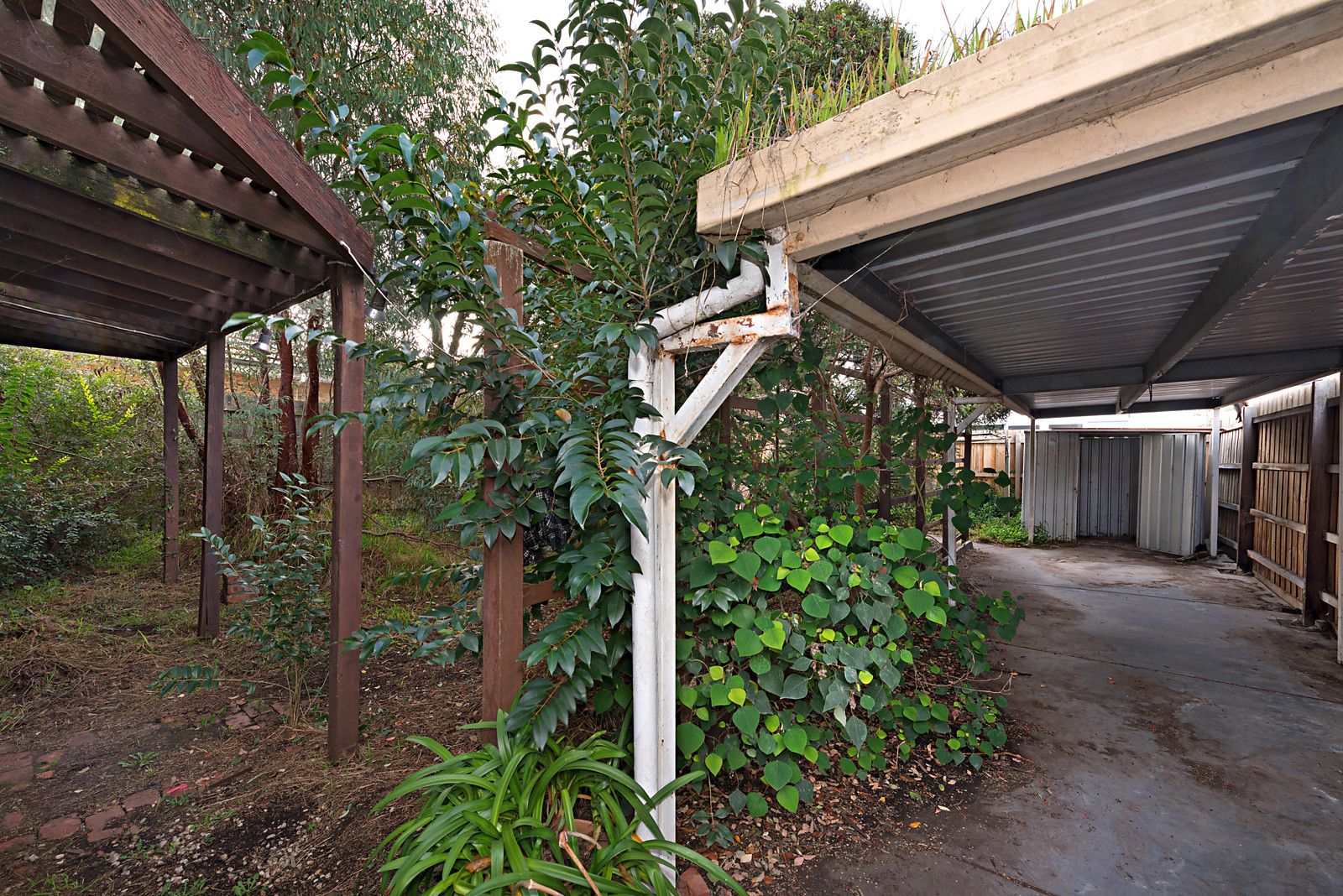 16 Lewis Street, Thornbury VIC 3071, Image 2