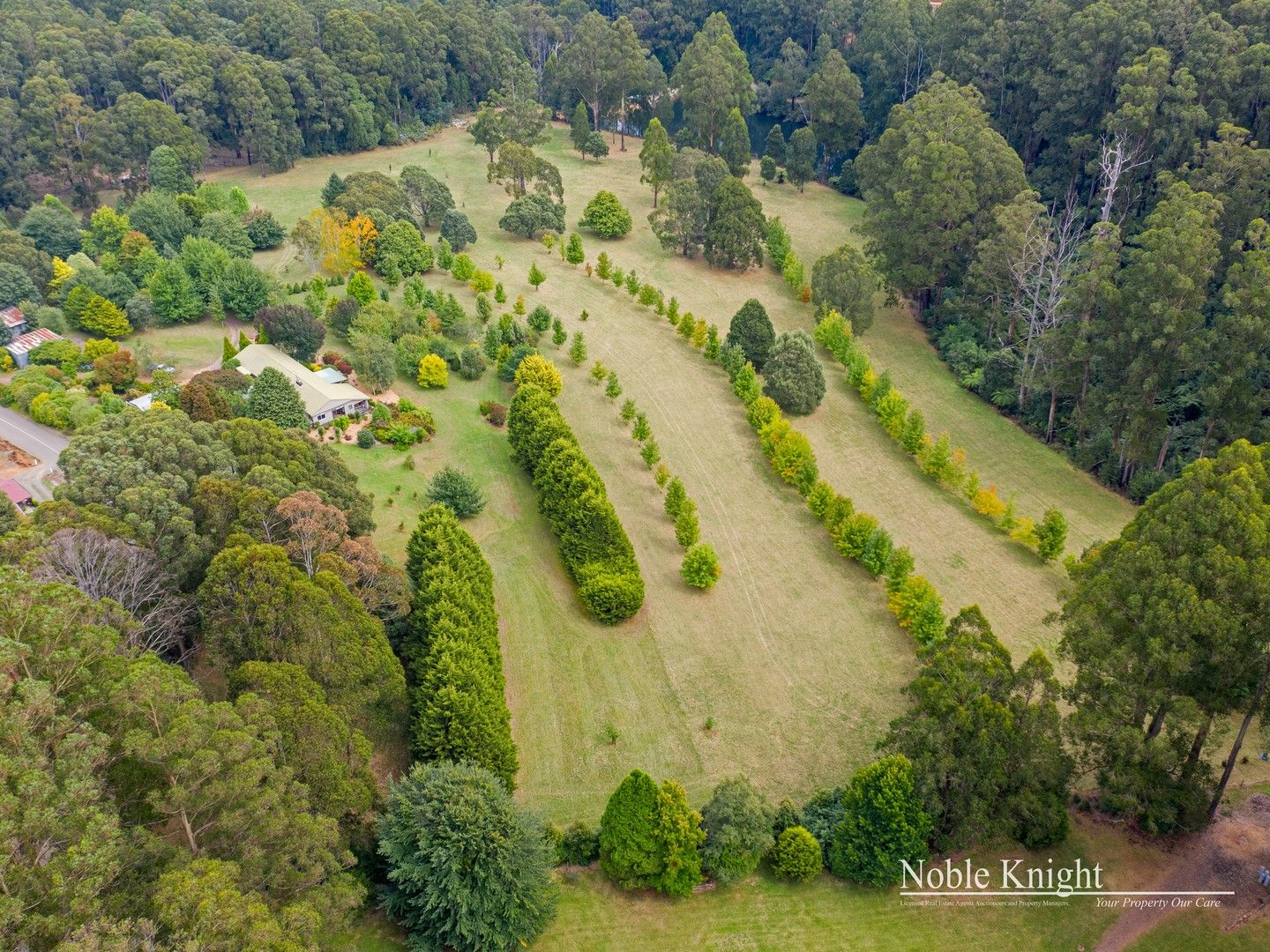 215 Spraggs Road, Toolangi VIC 3777, Image 0