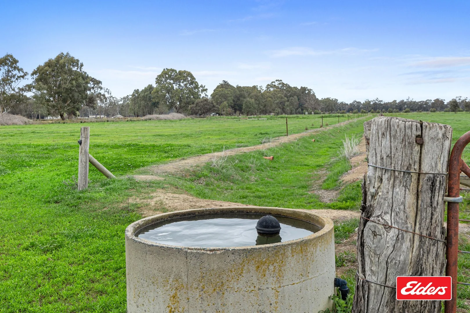 Image 15