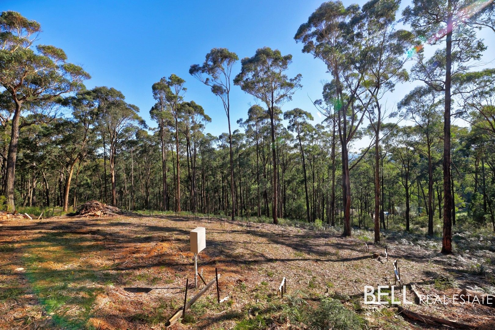 131 Grey Road, Gembrook VIC 3783, Image 1