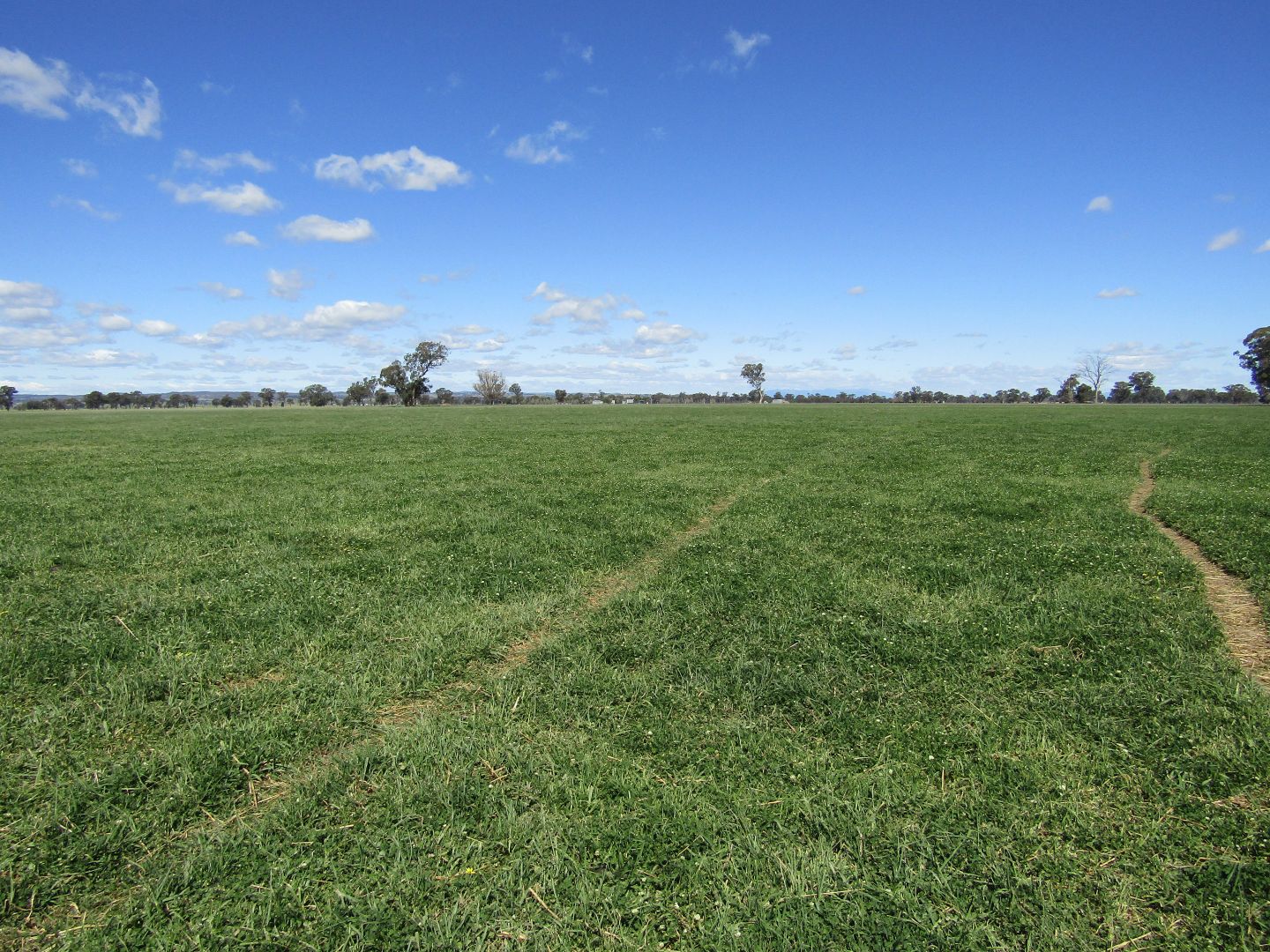 Sold Lot 2 Boorhaman-Springhurst Rd, Springhurst VIC 3682 on 03 Jan ...