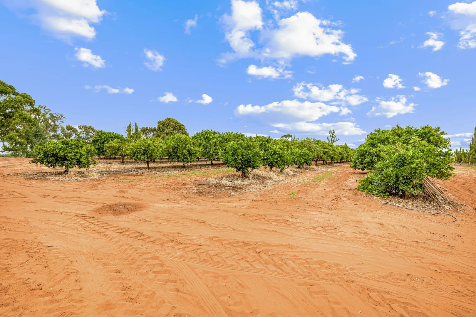 Additional image 33 of 199 Pumps Road, Red Cliffs VIC 3496