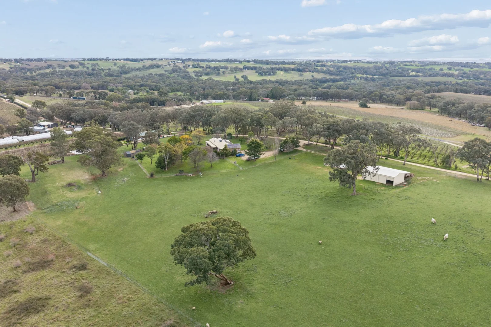 Image 25