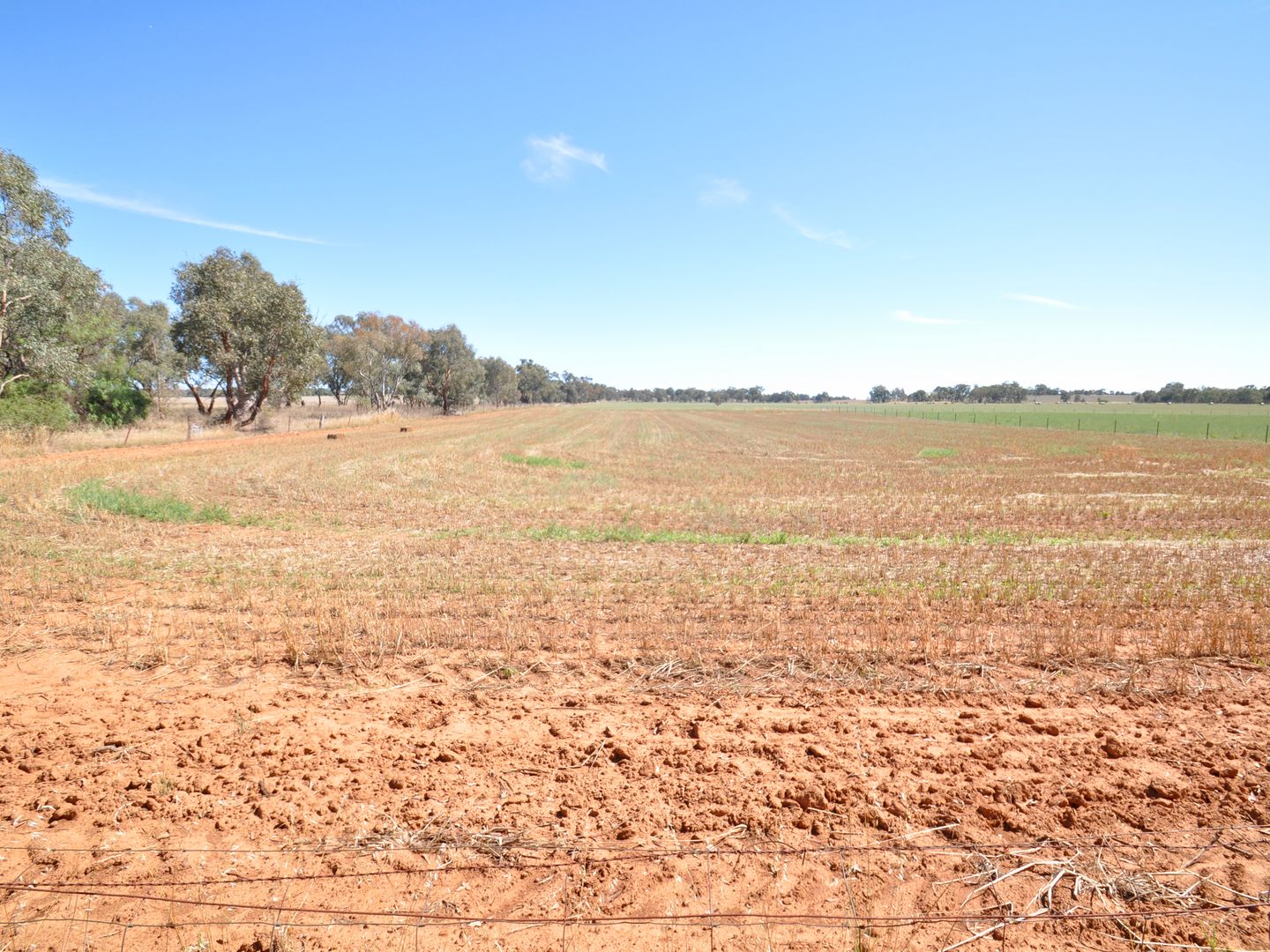 Lot 193 Broad Street, Old Junee NSW 2652, Image 1