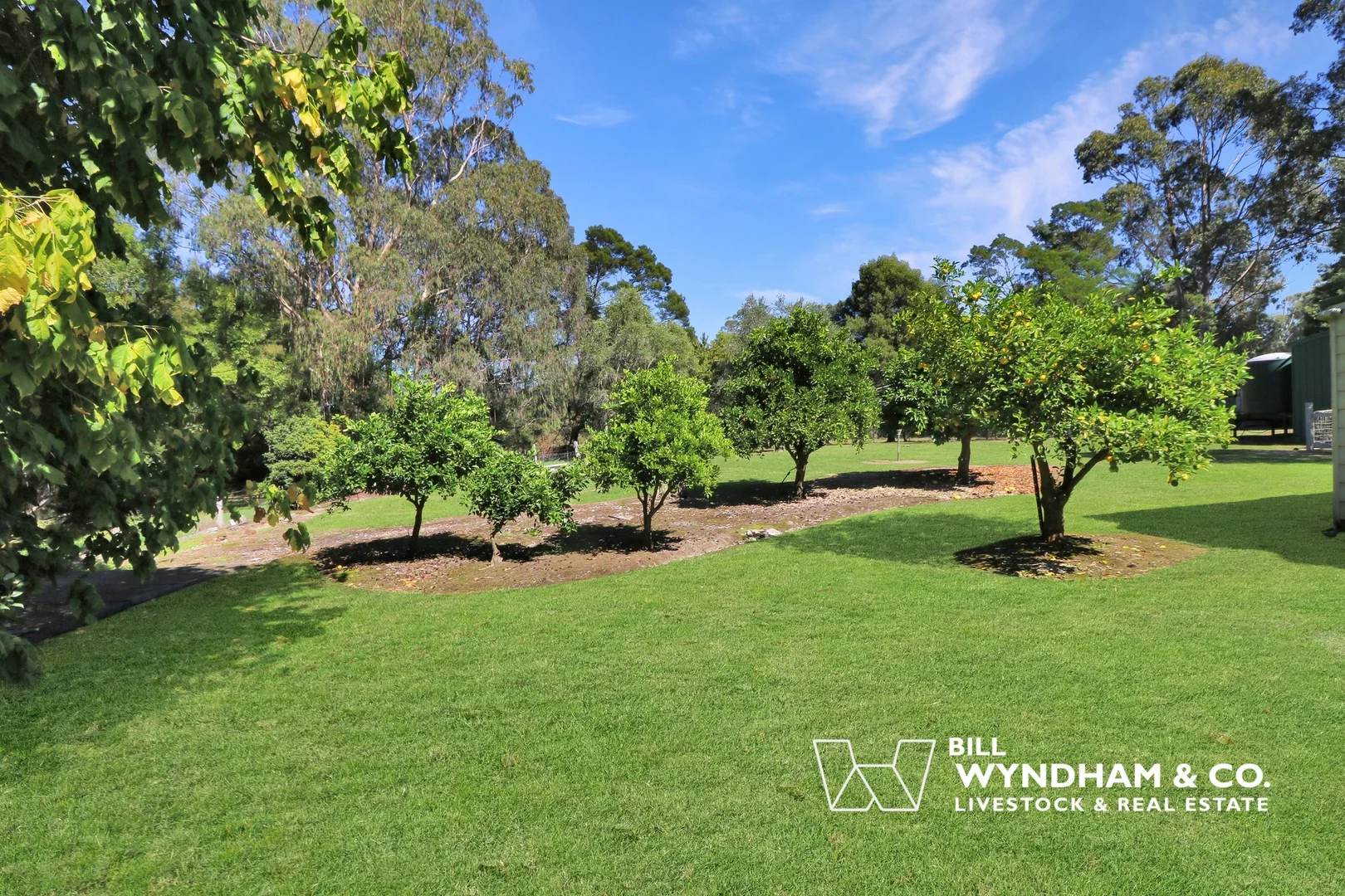 Additional image 17 of 31 Tamboon Road, Cann River VIC 3890