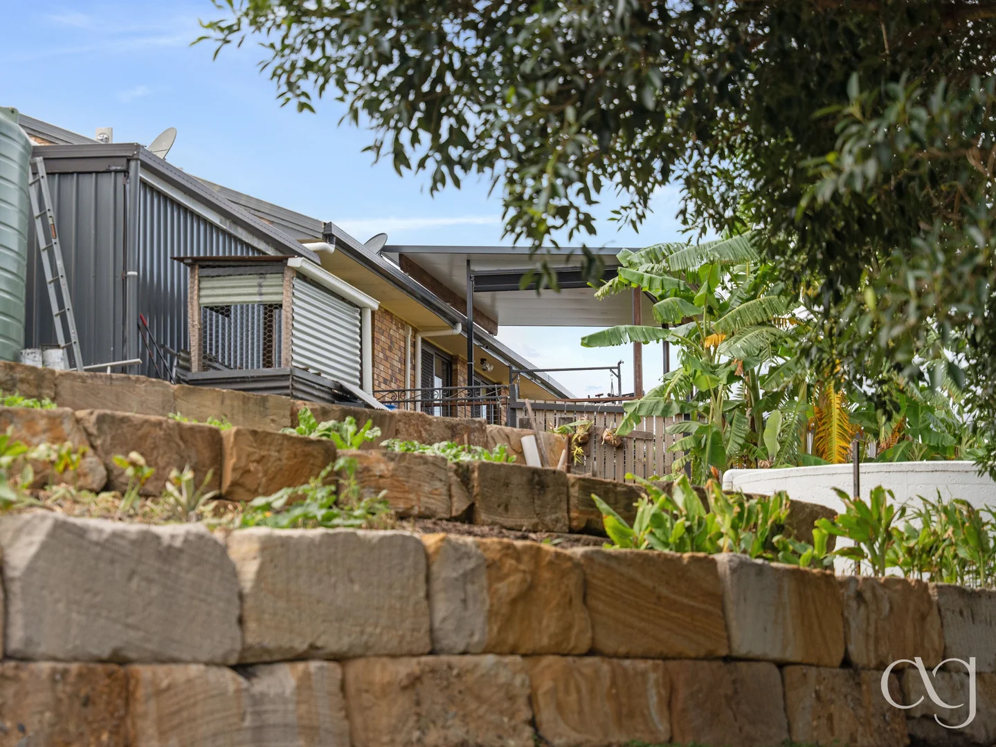 Image 25