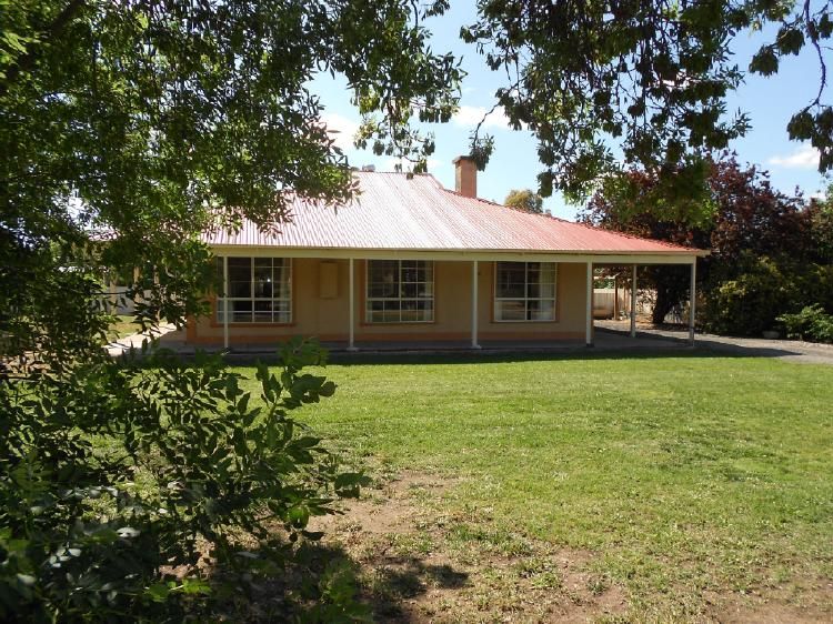 19 Wirrega Road, Mundulla SA 5270, Image 0