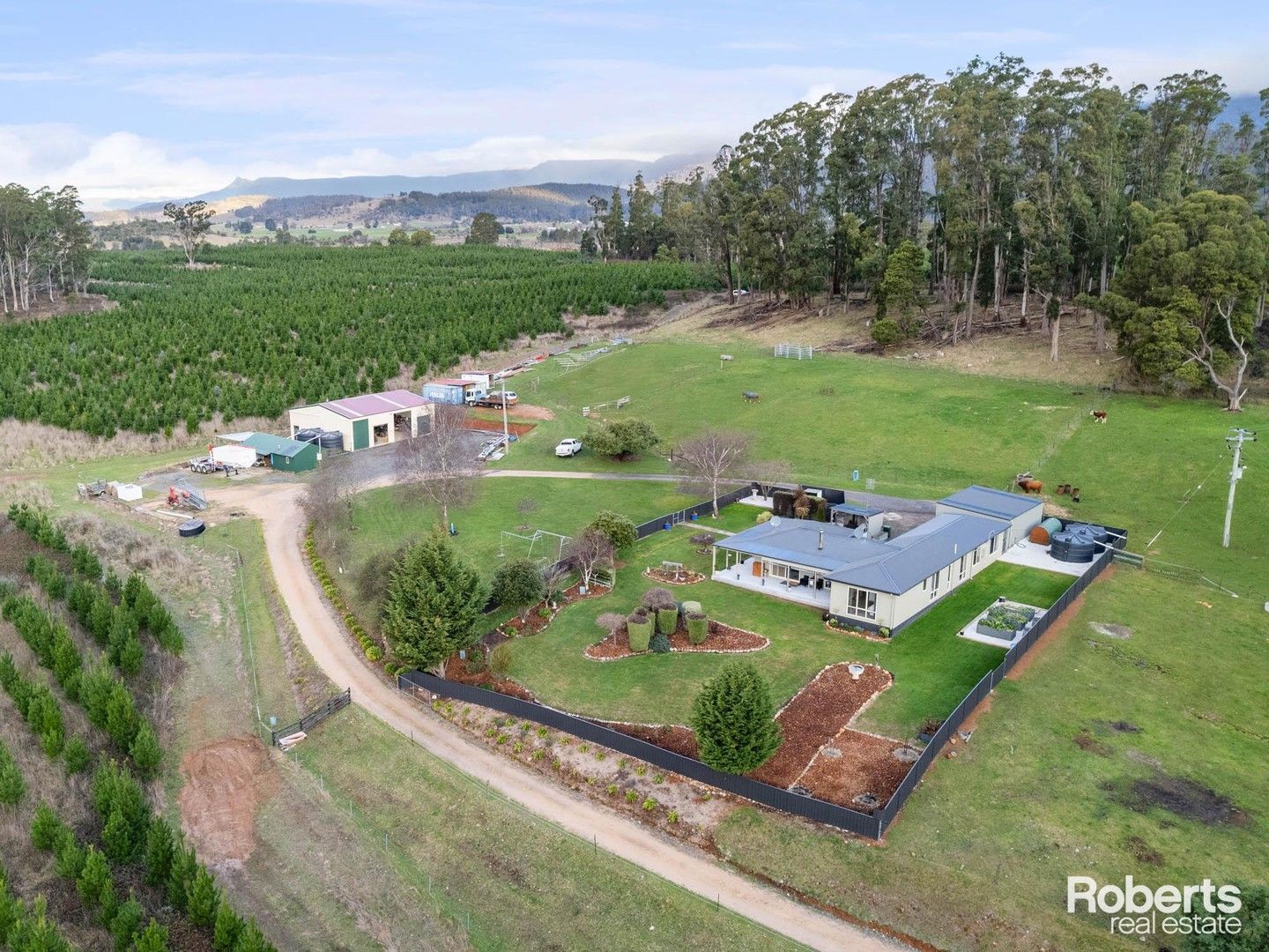 478 Union Bridge Road, Mole Creek TAS 7304, Image 1