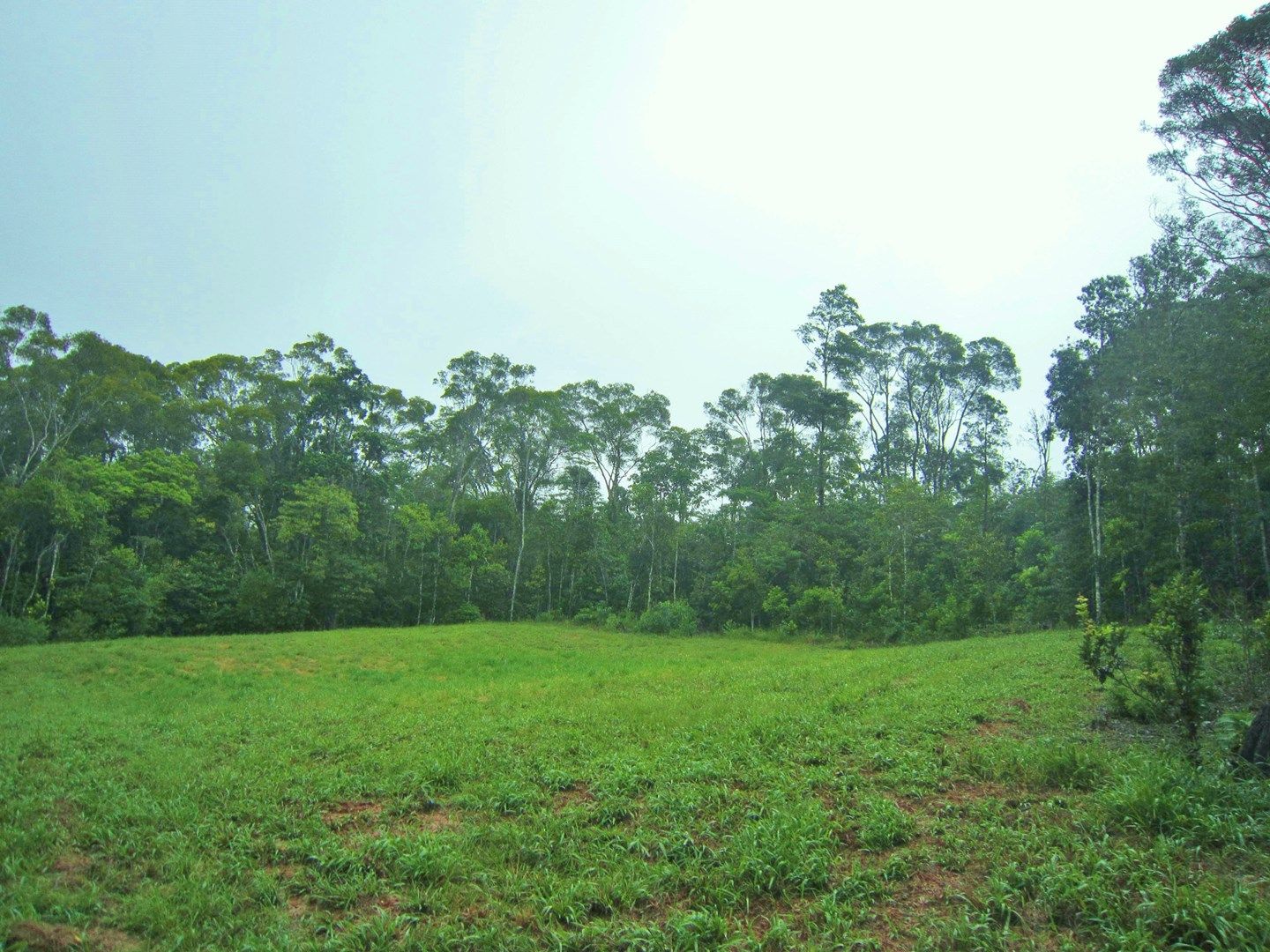 30R Winfield Road, Lake Eacham Property History & Address Research