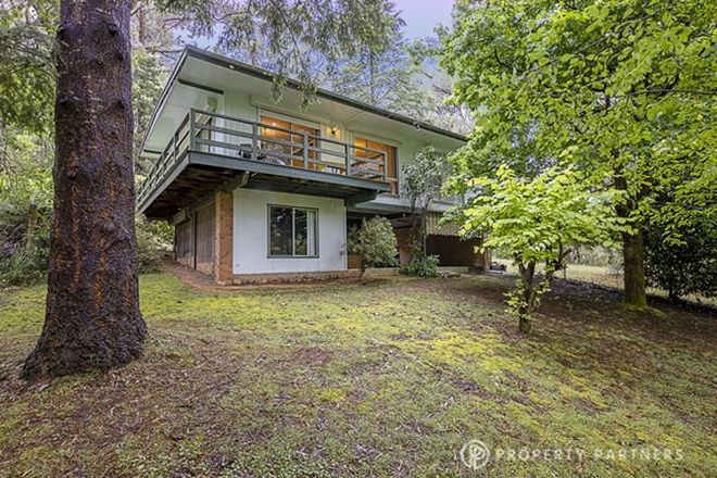 Picture of 2095 Woods Point Road, REEFTON VIC 3799
