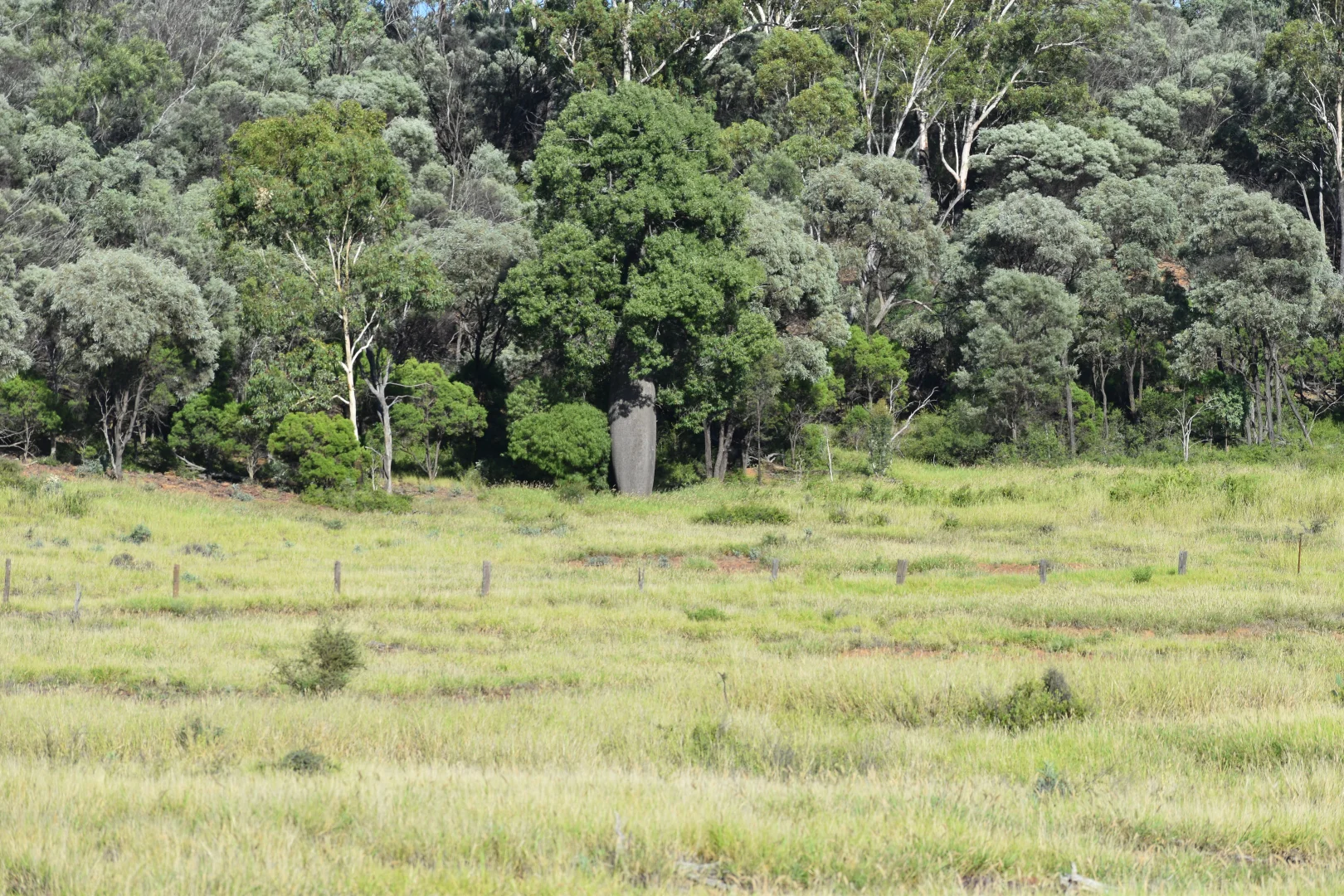 Additional image 8 of 5074 Alpha Tambo Road, Alpha QLD 4724