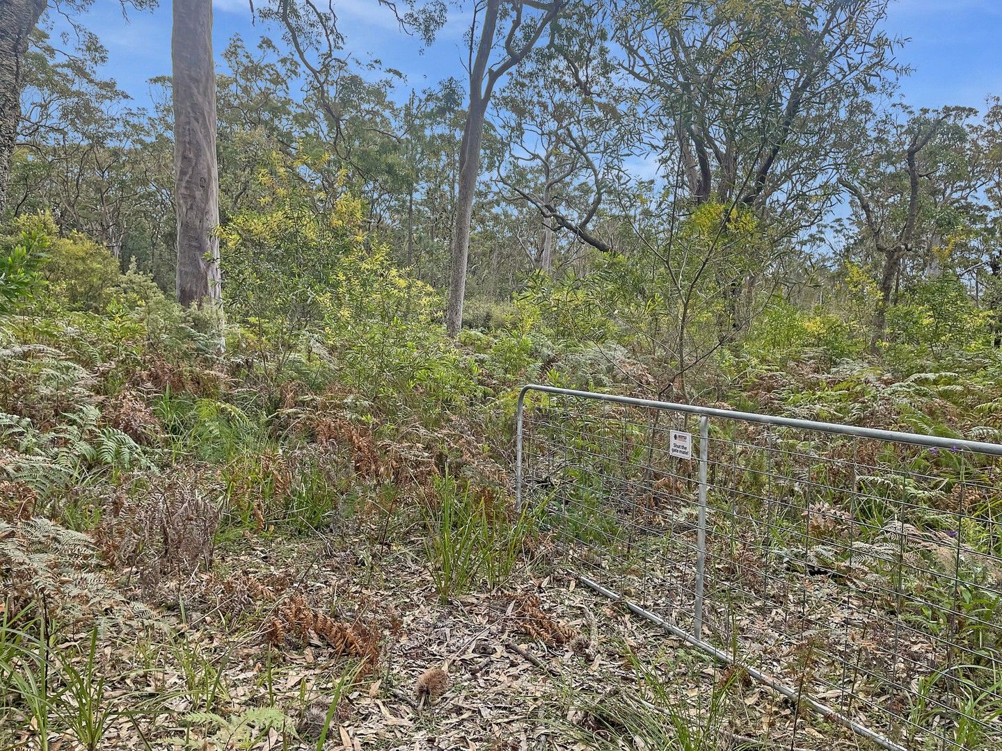 133135 Koree Street, Pindimar NSW 2324 House for Sale Domain