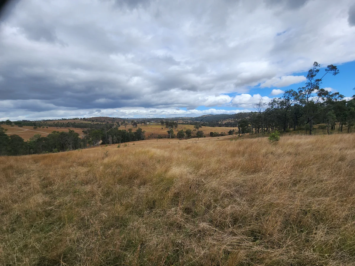 Image 12