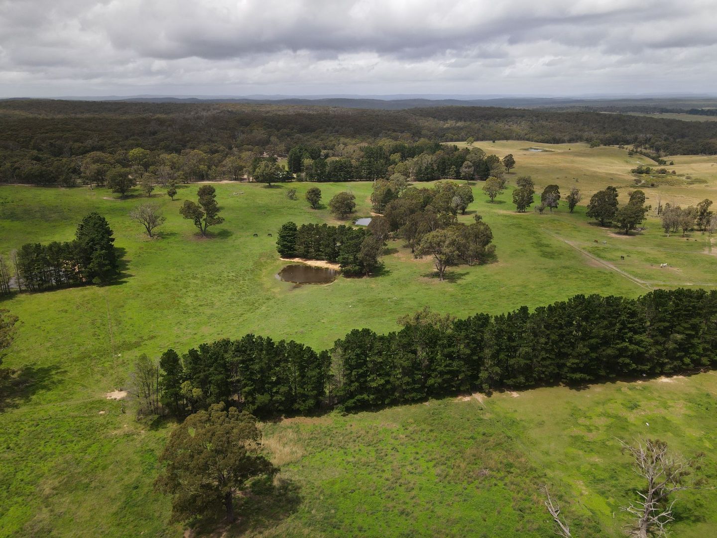 5 bedrooms Rural in 127 Pegasus Lane BUNGONIA NSW, 2580