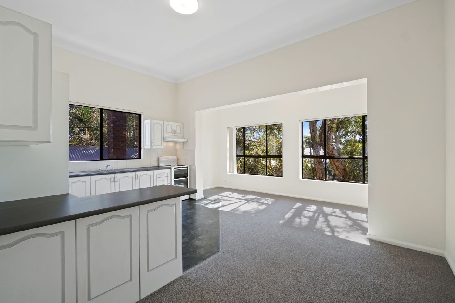 59B Ryan Street, Lilyfield NSW 2040, Image 0