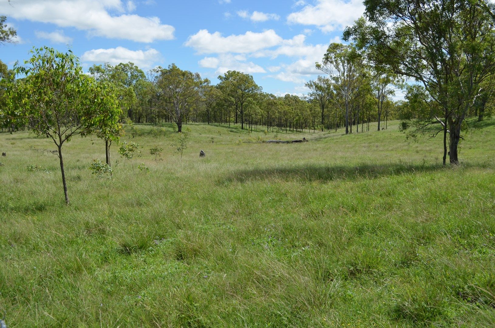 Lot 519 Reushle Road, Kleinton QLD 4352, Image 0