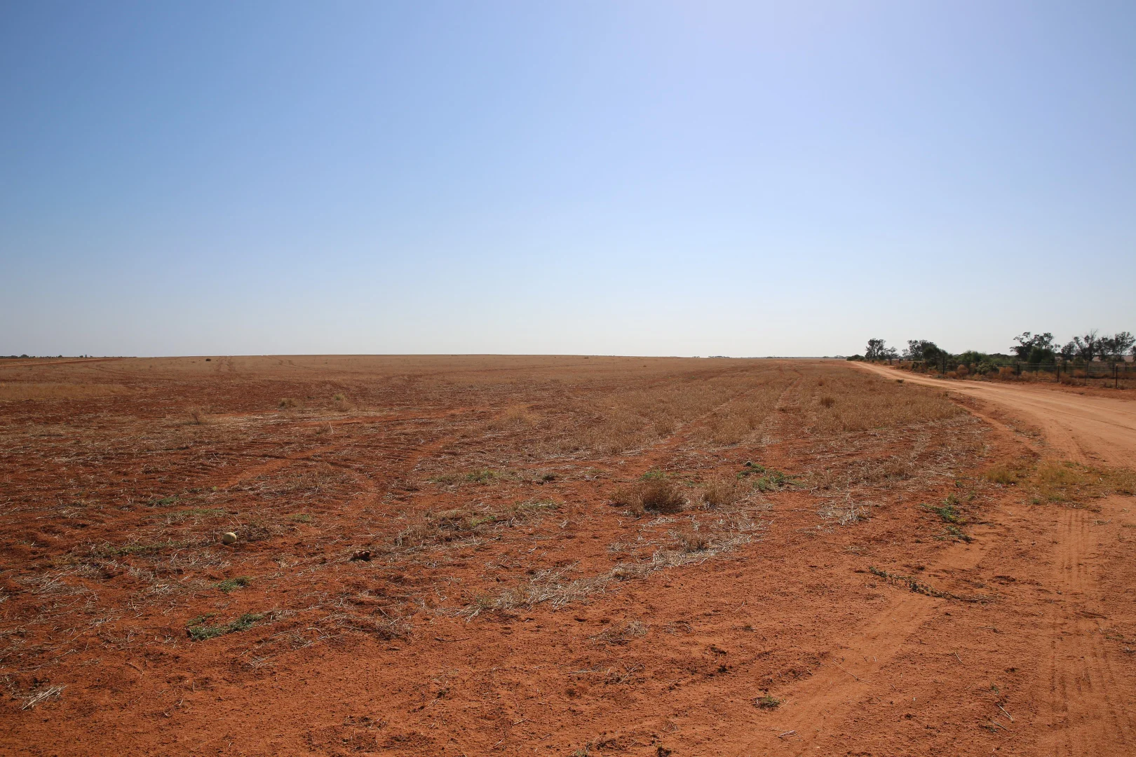 Image 12