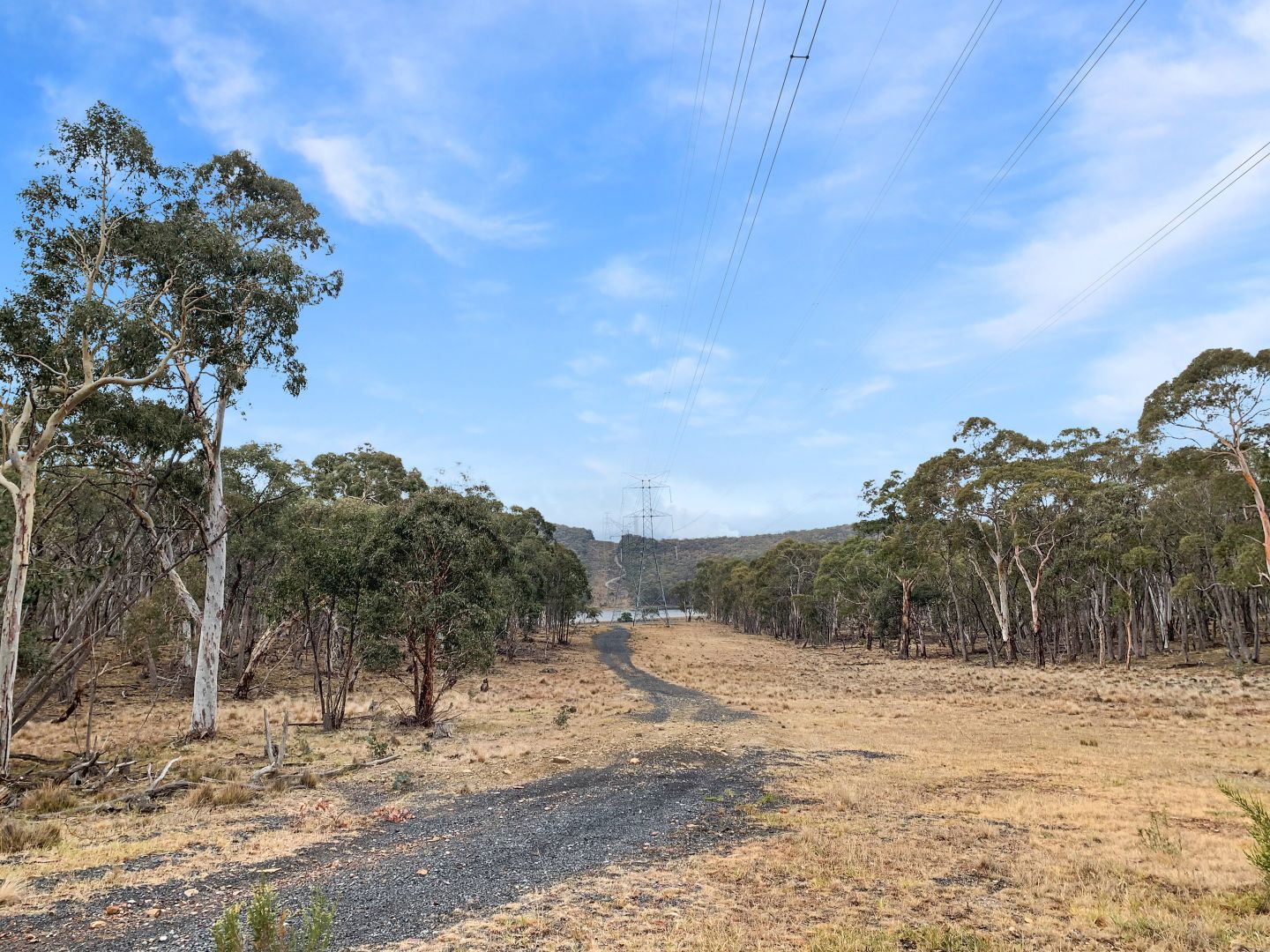 955 Pipers Flat Road, Pipers Flat NSW 2847, Image 2