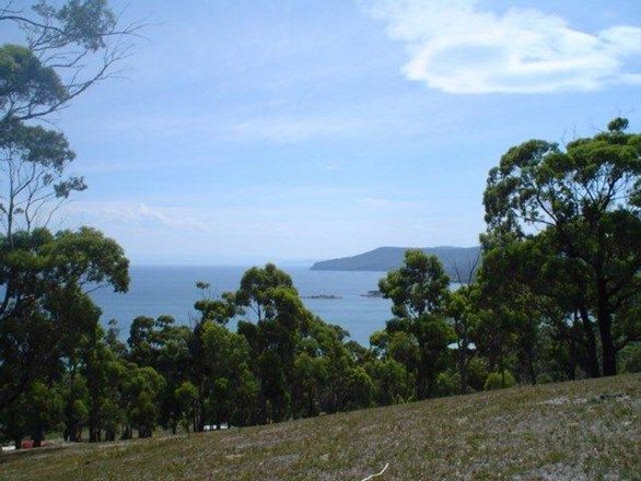 159 White Beach Road, White Beach TAS 7184, Image 2