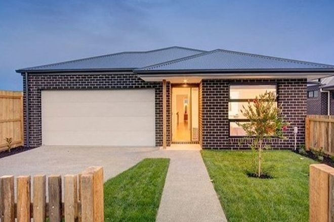196 Rental Properties In Breakwater Vic 3219 Domain