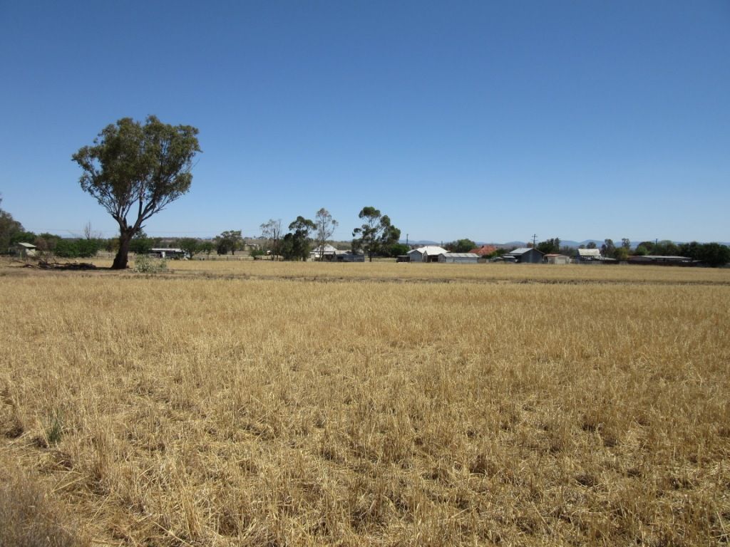 Lot 15 Ridge Street, Attunga Property History & Address Research Domain