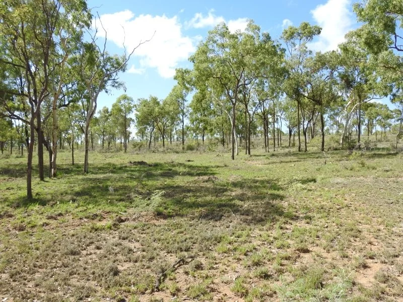 Image 35